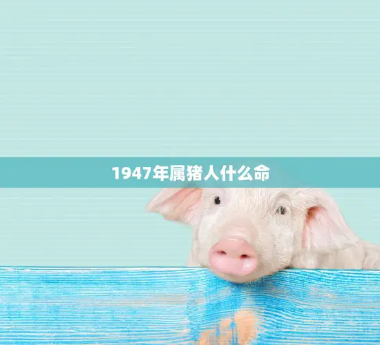 1947年属猪人什么命(属猪人的性格特点和运势分析)