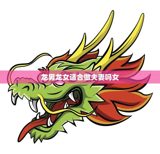 龙男龙女适合做夫妻吗女(探讨龙男龙女的婚姻是否稳定)