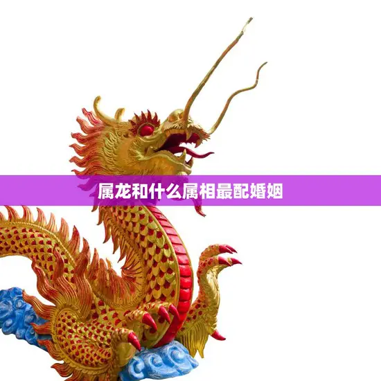 属龙和什么属相最配婚姻(完美配对的秘诀)
