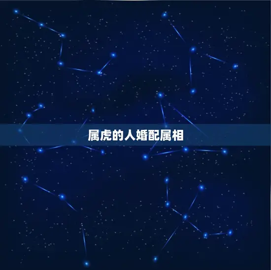 属虎的人婚配属相(介绍与哪些属相最般配)