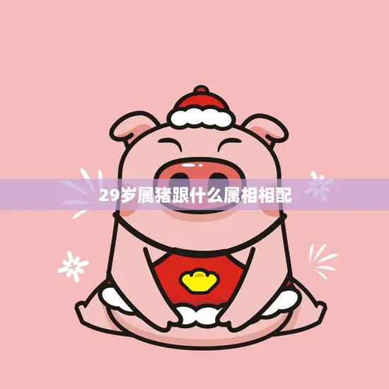 29岁属猪跟什么属相相配(寻找最佳配对)
