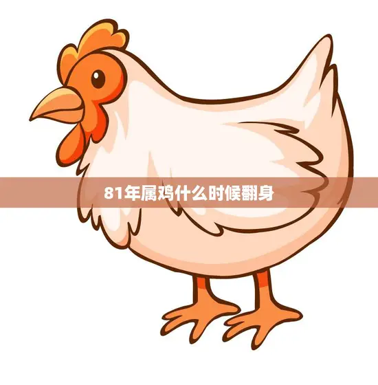 81年属鸡什么时候翻身(解析属鸡人的财运转机)