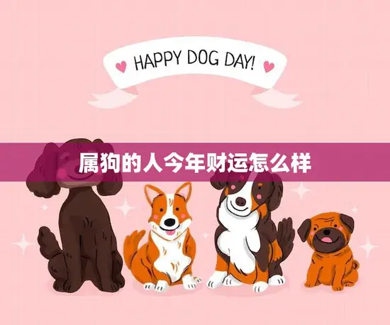属狗的人今年财运怎么样(狗年大展宏图财源滚滚来)