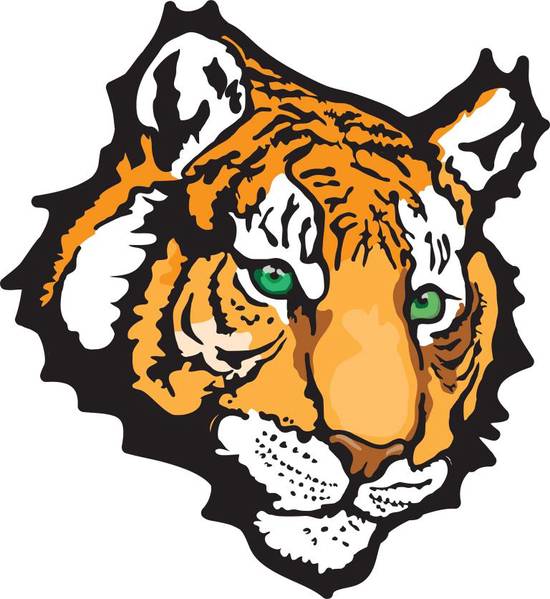 属虎的女人和什么属相合(最佳配对指南)