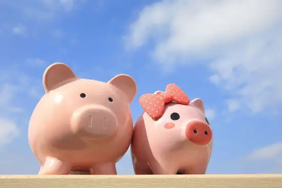 2023年的猪今年多大(探寻十二生肖的神秘密码)