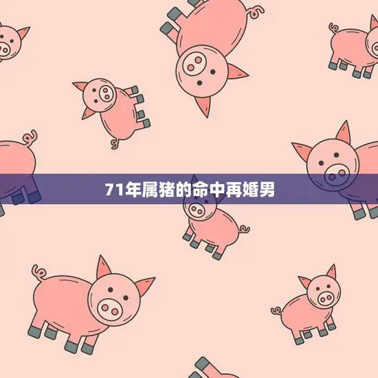 71年属猪的命中再婚男(重拾爱情的勇气)