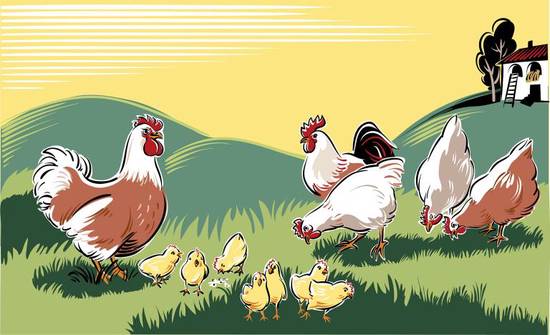 2023年属鸡的运程丿(幸运之年财运亨通)