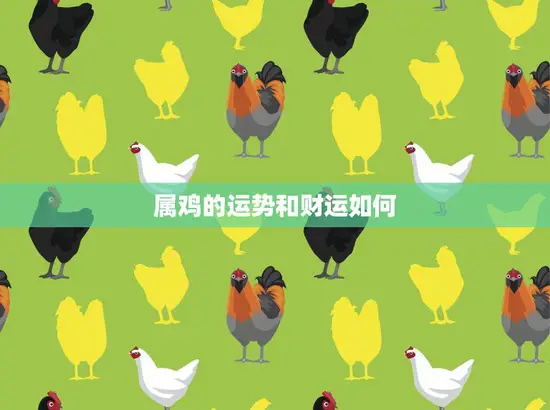 属鸡的运势和财运如何(探究属鸡人的命运之路)