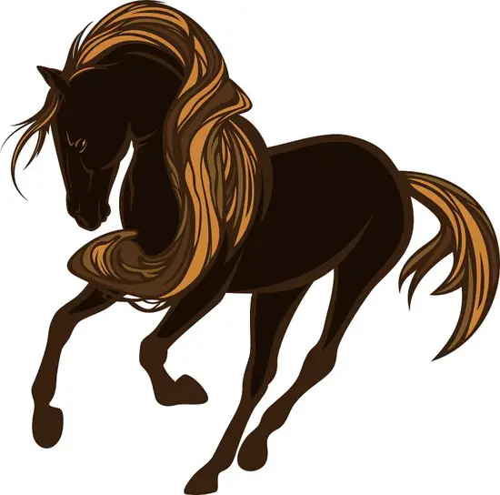 属马的几岁啦1990年(马年人的年龄计算方法详解)