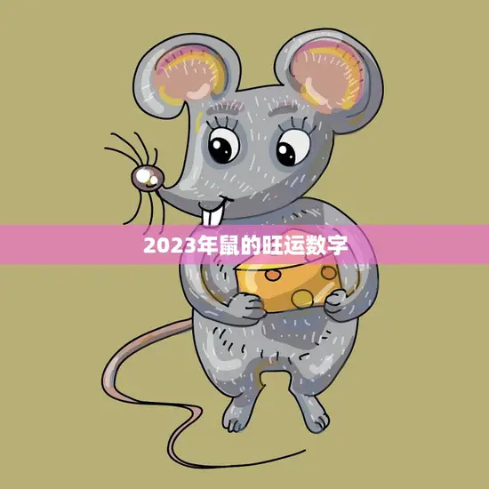 2023年鼠的旺运数字(揭秘幸运数字为8)
