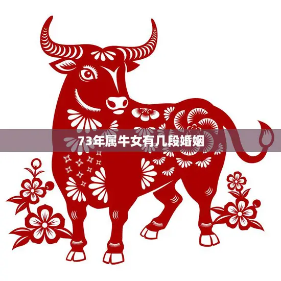 73年属牛女有几段婚姻(婚姻多变的属牛女命运如何)