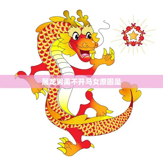 属龙男离不开马女原因是(星座配对的奇妙化学反应)