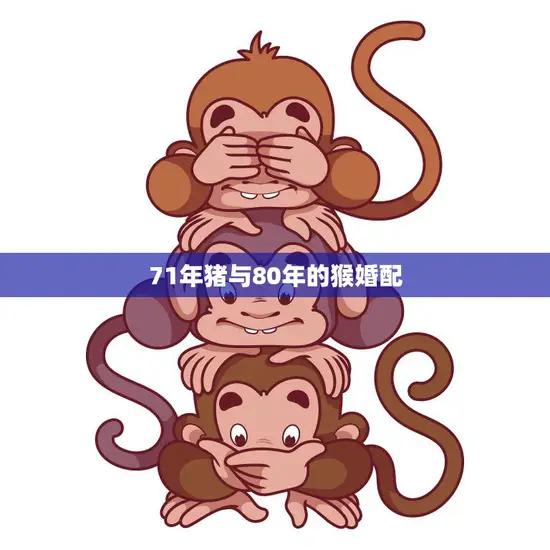 71年猪与80年的猴婚配(跨越年代的爱情奇迹)