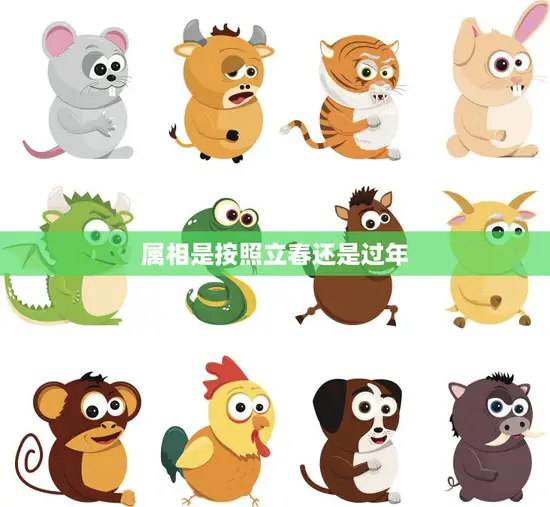 属相是按照立春还是过年(如何确定生肖)