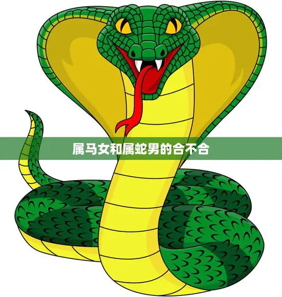 属马女和属蛇男的合不合(星座配对分析)