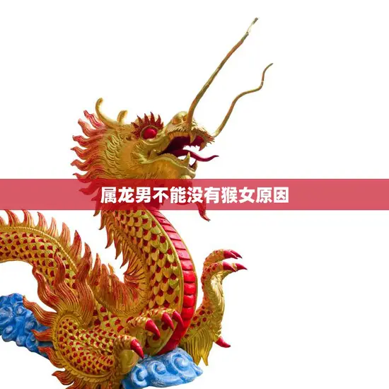 属龙男不能没有猴女原因(解析龙猴配最佳)