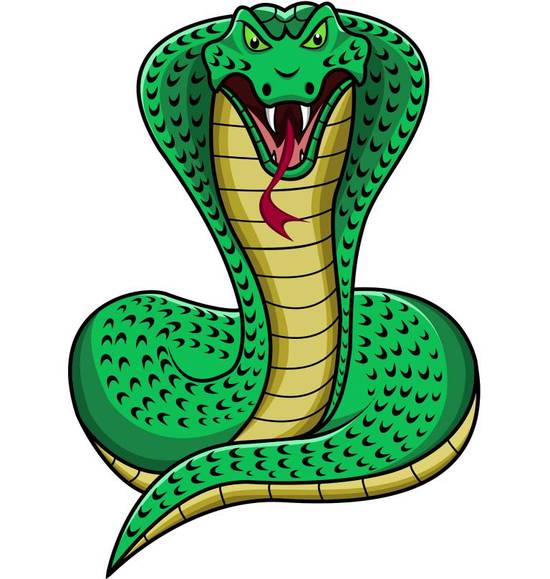 属蛇的最佳婚配对象女性(如何选择理想的伴侣)