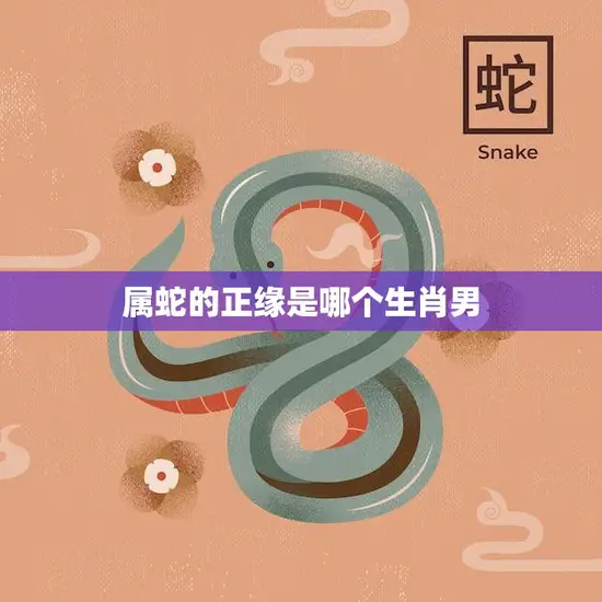 属蛇的正缘是哪个生肖男(揭秘蛇年女最佳配偶)