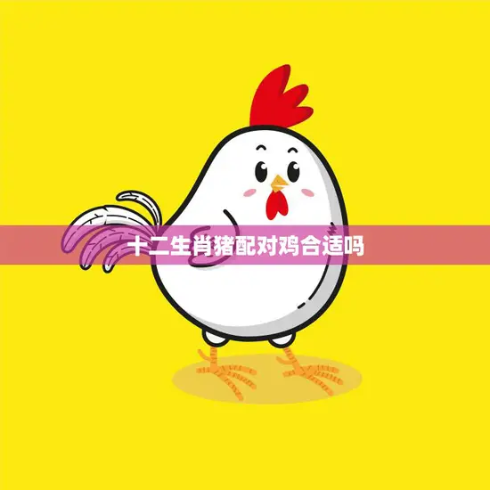十二生肖猪配对鸡合适吗(探讨爱情、友情、事业是否能共处)