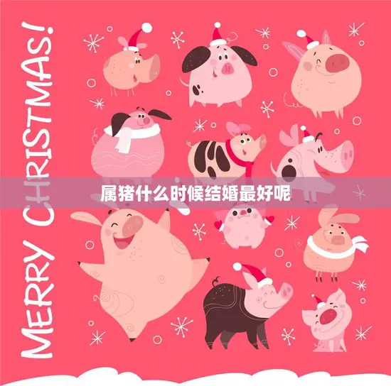 属猪什么时候结婚最好呢(探讨星座专家揭秘最佳婚期)