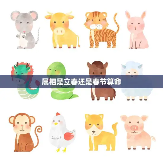 属相是立春还是春节算命(如何选择)
