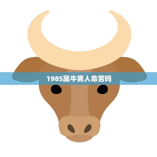 1985属牛男人命苦吗(探究命运与个人努力的关系)