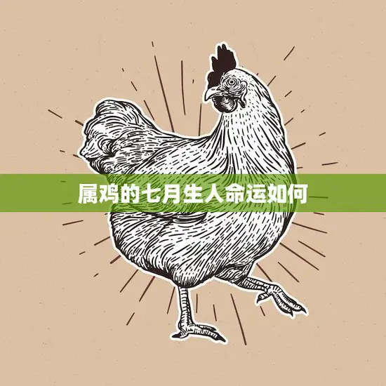 属鸡的七月生人命运如何(解析财运、感情、事业)