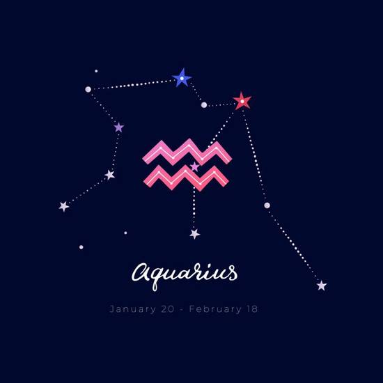 上升星座水瓶座男生配对(完美星座组合)