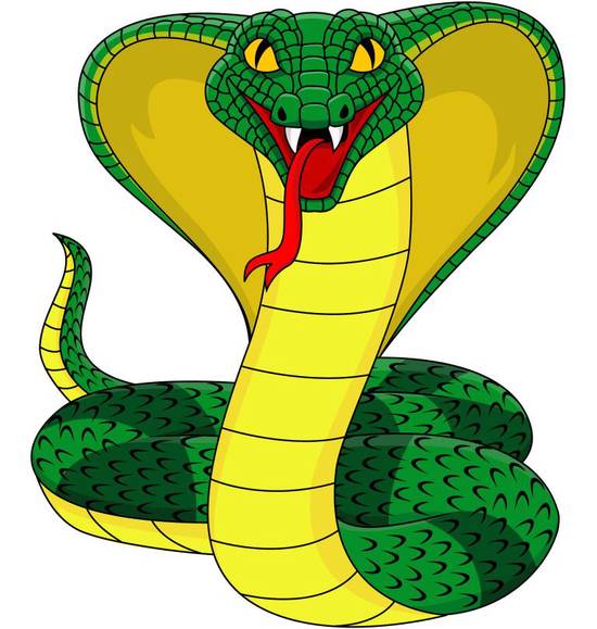 2001年属蛇一生运程(如何预测和改善)