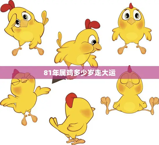 81年属鸡多少岁走大运(解析属鸡人的大运岁数)