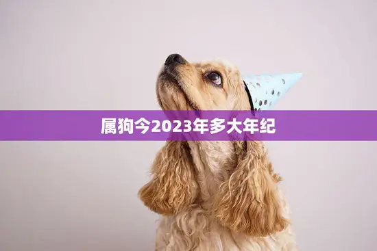属狗今2023年多大年纪(狗年人的年龄计算方法解析)