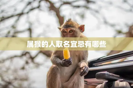 属猴的人取名宜忌有哪些(如何给猴年宝宝取名)