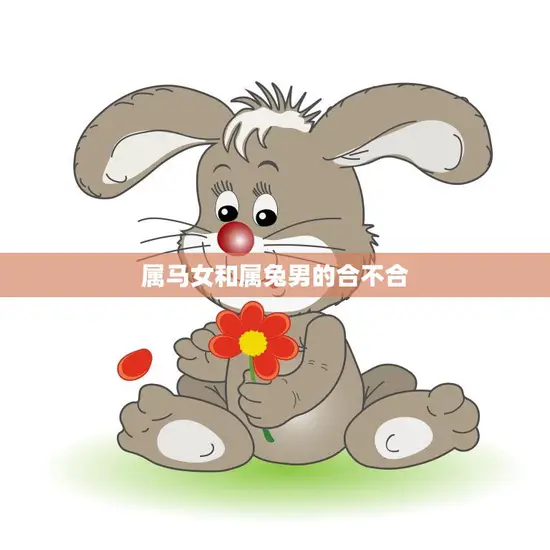 属马女和属兔男的合不合(星座配对分析)