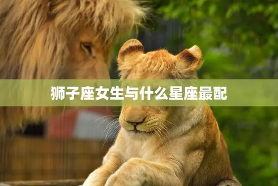 狮子座女生与什么星座最配(探秘最佳星座组合)