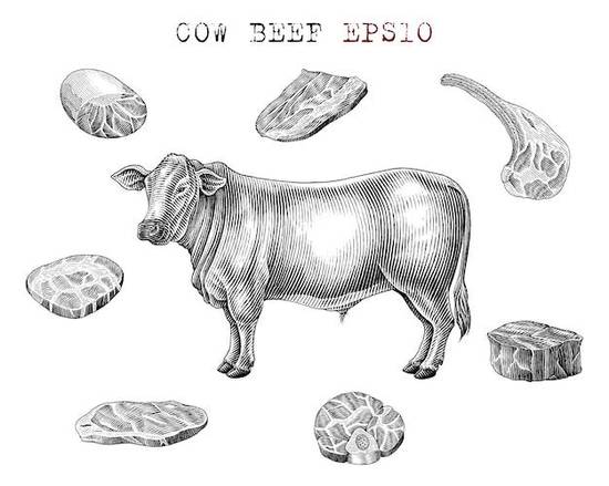 1985属牛女性格婚姻(如何找到幸福的婚姻)