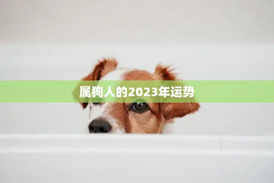 属狗人的2023年运势(狗年大展宏图财运亨通)