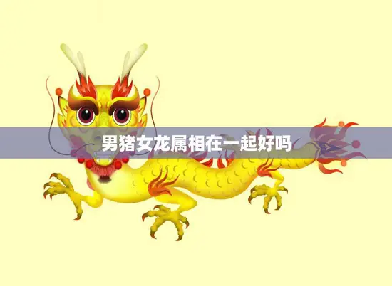 男猪女龙属相在一起好吗(解析相性、优缺点、建议)