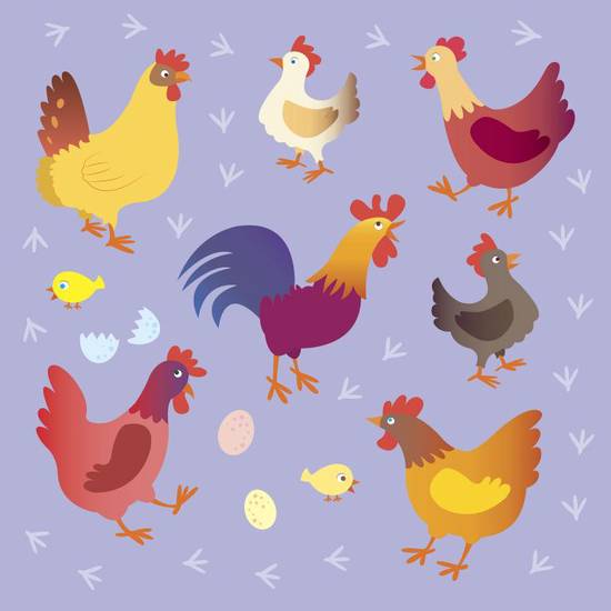 81年鸡今日财运几颗星(财运亨通喜事连连)