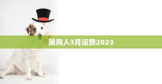 属狗人3月运势2023(财运亨通事业顺利感情甜蜜)