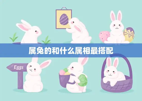 属兔的和什么属相最搭配(最佳搭档大揭秘)