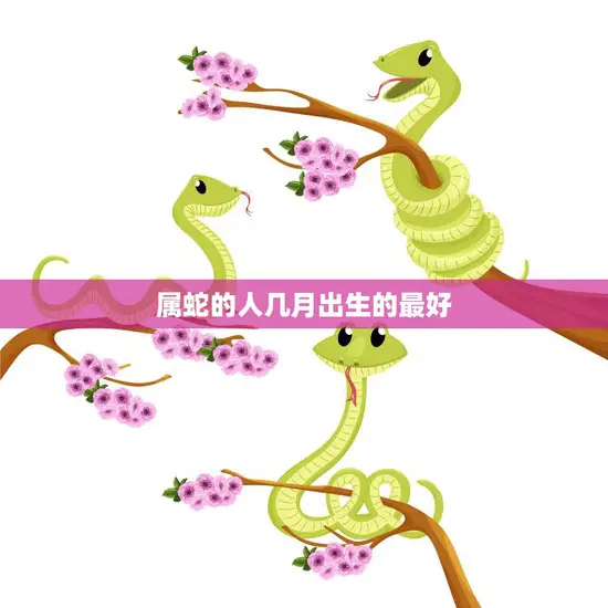 属蛇的人几月出生的最好(探究最佳出生月份是什么)