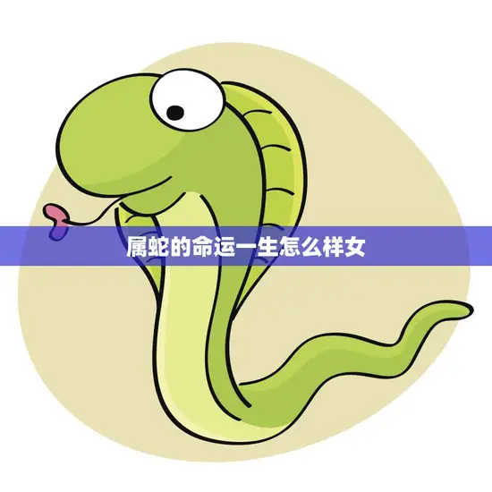 属蛇的命运一生怎么样女(探究聪明、独立、有追求)