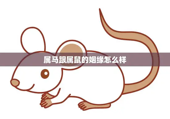 属马跟属鼠的姻缘怎么样(解析马鼠配还是不配)