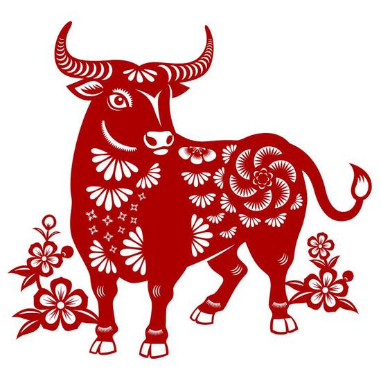 属相属牛的今年多大年龄(2023年牛年生肖年龄计算方法详解)