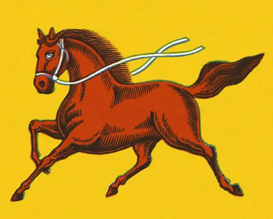 1942年属马的多少岁(了解属马人的性格特点和运势)