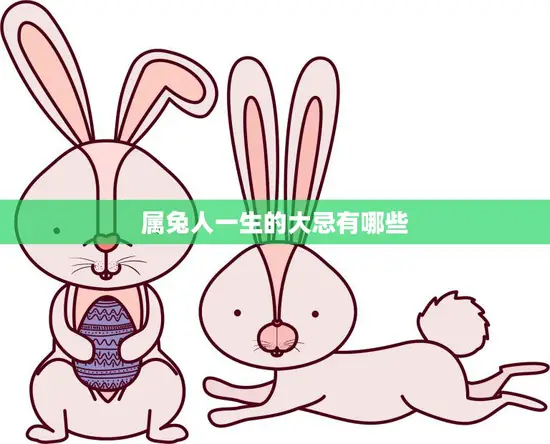 属兔人一生的大忌有哪些(避免这些错误让你的人生更加顺利)