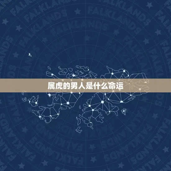 属虎的男人是什么命运(介绍运势如何)