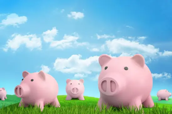 属猪女的婚姻配对最佳男(如何选择)