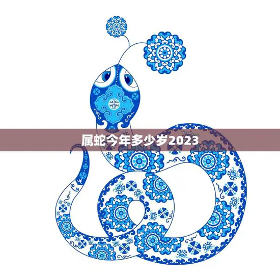 属蛇今年多少岁2023(如何算出你的属相年龄)