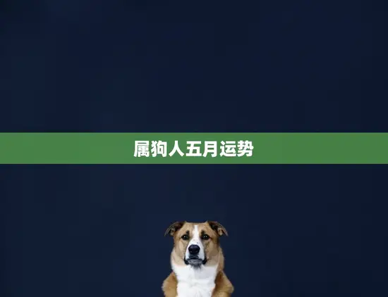 属狗人五月运势(幸运之星照耀财运亨通)